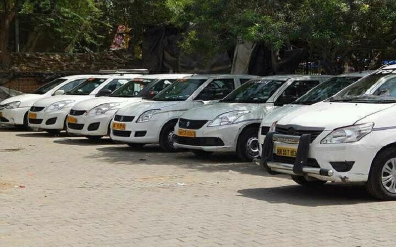 Hannah Bronfman: Beauty Hound